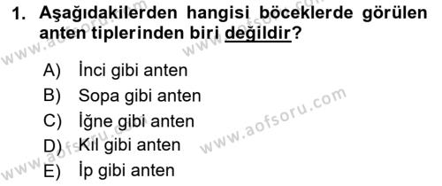 Entomoloji Dersi 2023 - 2024 Yılı Yaz Okulu Sınavı 1. Soru