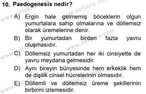 Entomoloji Dersi 2023 - 2024 Yılı Yaz Okulu Sınavı 10. Soru