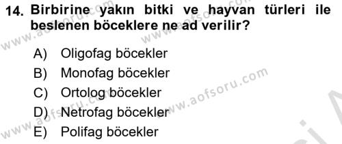 Entomoloji Dersi 2023 - 2024 Yılı Yaz Okulu Sınavı 14. Soru