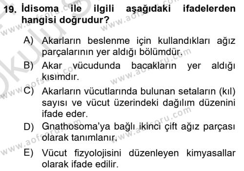 Entomoloji Dersi 2023 - 2024 Yılı Yaz Okulu Sınavı 19. Soru