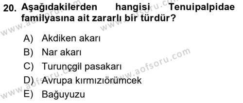 Entomoloji Dersi 2023 - 2024 Yılı Yaz Okulu Sınavı 20. Soru