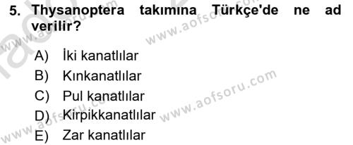 Entomoloji Dersi 2023 - 2024 Yılı Yaz Okulu Sınavı 5. Soru