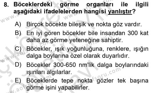 Entomoloji Dersi 2023 - 2024 Yılı Yaz Okulu Sınavı 8. Soru