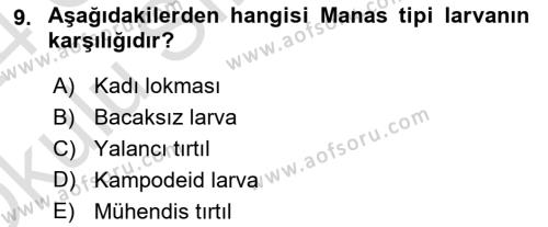 Entomoloji Dersi 2023 - 2024 Yılı Yaz Okulu Sınavı 9. Soru