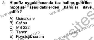 Su Ürünleri Dersi 2012 - 2013 Yılı (Vize) Ara Sınavı 3. Soru