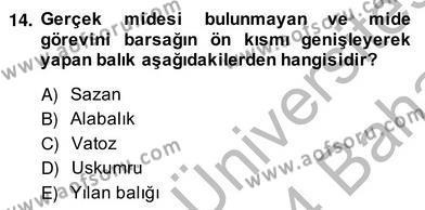Su Ürünleri Dersi 2013 - 2014 Yılı (Vize) Ara Sınavı 14. Soru