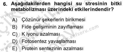 Tarımsal Yapılar ve Sulama Dersi 2020 - 2021 Yılı Yaz Okulu Sınavı 6. Soru