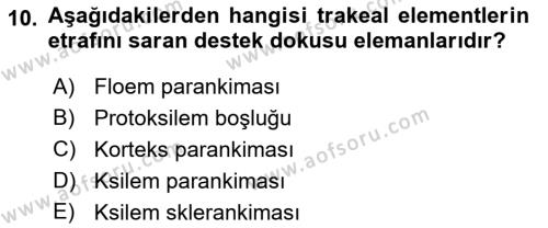 Tarımsal Yapılar ve Sulama Dersi 2021 - 2022 Yılı (Vize) Ara Sınavı 10. Soru