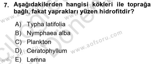 Tarımsal Yapılar ve Sulama Dersi 2021 - 2022 Yılı (Vize) Ara Sınavı 7. Soru