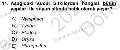 Tarımsal Yapılar ve Sulama Dersi 2021 - 2022 Yılı (Final) Dönem Sonu Sınavı 11. Soru