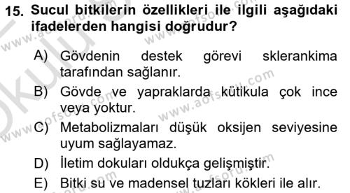 Tarımsal Yapılar ve Sulama Dersi 2021 - 2022 Yılı Yaz Okulu Sınavı 15. Soru