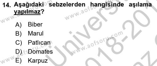 Örtü Altı Üretim Sistemleri Dersi 2018 - 2019 Yılı Yaz Okulu Sınavı 14. Soru