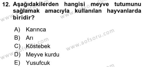 Örtü Altı Üretim Sistemleri Dersi 2022 - 2023 Yılı Yaz Okulu Sınavı 12. Soru