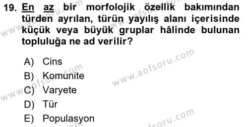 Balık Yetiştiriciliği Dersi 2018 - 2019 Yılı 3 Ders Sınavı 19. Soru