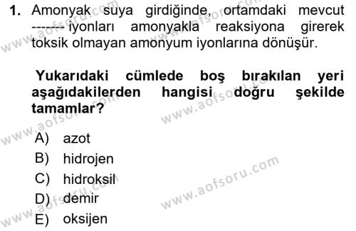 Balık Yetiştiriciliği Dersi 2020 - 2021 Yılı Yaz Okulu Sınavı 1. Soru