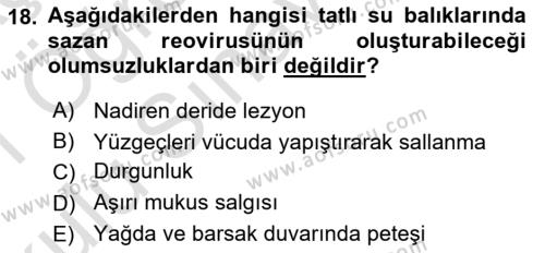 Balık Yetiştiriciliği Dersi 2020 - 2021 Yılı Yaz Okulu Sınavı 18. Soru