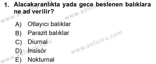 Balık Yetiştiriciliği Dersi 2021 - 2022 Yılı Yaz Okulu Sınavı 1. Soru