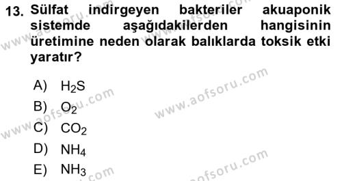 Balık Yetiştiriciliği Dersi 2021 - 2022 Yılı Yaz Okulu Sınavı 13. Soru