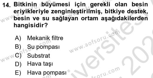 Balık Yetiştiriciliği Dersi 2021 - 2022 Yılı Yaz Okulu Sınavı 14. Soru