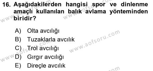 Balık Yetiştiriciliği Dersi 2021 - 2022 Yılı Yaz Okulu Sınavı 16. Soru