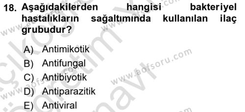 Balık Yetiştiriciliği Dersi 2021 - 2022 Yılı Yaz Okulu Sınavı 18. Soru