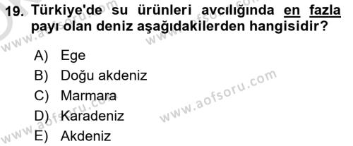 Balık Yetiştiriciliği Dersi 2021 - 2022 Yılı Yaz Okulu Sınavı 19. Soru