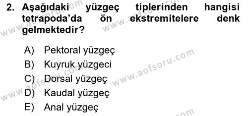 Balık Yetiştiriciliği Dersi 2021 - 2022 Yılı Yaz Okulu Sınavı 2. Soru