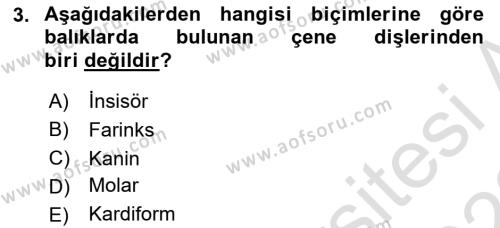 Balık Yetiştiriciliği Dersi 2021 - 2022 Yılı Yaz Okulu Sınavı 3. Soru