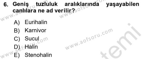 Balık Yetiştiriciliği Dersi 2021 - 2022 Yılı Yaz Okulu Sınavı 6. Soru