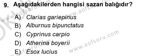 Balık Yetiştiriciliği Dersi 2021 - 2022 Yılı Yaz Okulu Sınavı 9. Soru