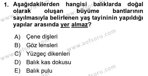 Balık Yetiştiriciliği Dersi 2022 - 2023 Yılı Yaz Okulu Sınavı 1. Soru