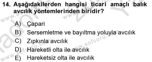 Balık Yetiştiriciliği Dersi 2022 - 2023 Yılı Yaz Okulu Sınavı 14. Soru