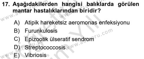 Balık Yetiştiriciliği Dersi 2022 - 2023 Yılı Yaz Okulu Sınavı 17. Soru