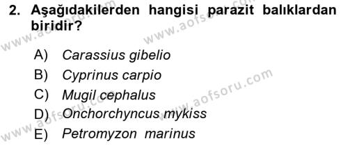 Balık Yetiştiriciliği Dersi 2022 - 2023 Yılı Yaz Okulu Sınavı 2. Soru