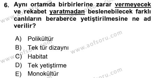 Balık Yetiştiriciliği Dersi 2022 - 2023 Yılı Yaz Okulu Sınavı 6. Soru