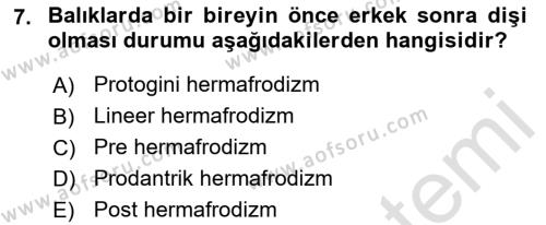 Balık Yetiştiriciliği Dersi 2022 - 2023 Yılı Yaz Okulu Sınavı 7. Soru