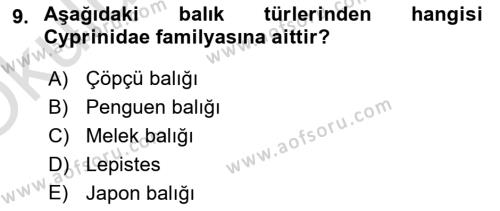 Balık Yetiştiriciliği Dersi 2022 - 2023 Yılı Yaz Okulu Sınavı 9. Soru