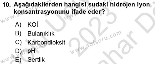 Balık Yetiştiriciliği Dersi 2023 - 2024 Yılı (Vize) Ara Sınavı 10. Soru