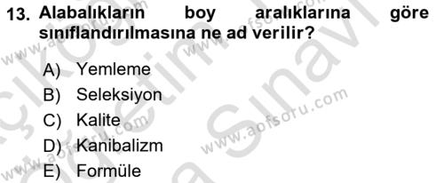 Balık Yetiştiriciliği Dersi 2023 - 2024 Yılı (Vize) Ara Sınavı 13. Soru