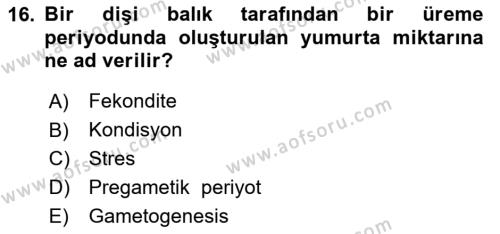 Balık Yetiştiriciliği Dersi 2023 - 2024 Yılı (Vize) Ara Sınavı 16. Soru