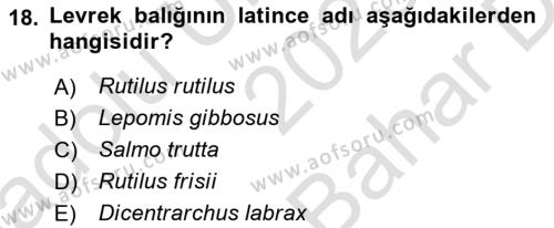 Balık Yetiştiriciliği Dersi 2023 - 2024 Yılı (Vize) Ara Sınavı 18. Soru