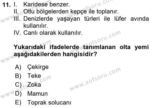 Balık Yetiştiriciliği Dersi 2023 - 2024 Yılı (Final) Dönem Sonu Sınavı 11. Soru