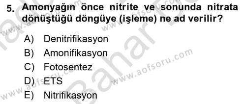 Balık Yetiştiriciliği Dersi 2023 - 2024 Yılı (Final) Dönem Sonu Sınavı 5. Soru