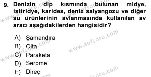 Balık Yetiştiriciliği Dersi 2023 - 2024 Yılı (Final) Dönem Sonu Sınavı 9. Soru