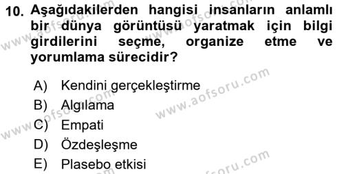 Turist Davranışı Dersi 2023 - 2024 Yılı (Vize) Ara Sınavı 10. Soru