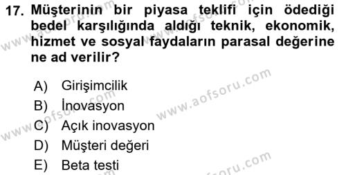 Turizmde Girişimcilik Ve İnovasyon Dersi 2022 - 2023 Yılı Yaz Okulu Sınavı 17. Soru