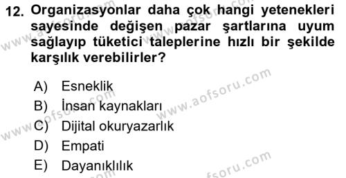 Turizmde Güncel Yaklaşımlar Dersi 2024 - 2025 Yılı (Vize) Ara Sınavı 12. Soru