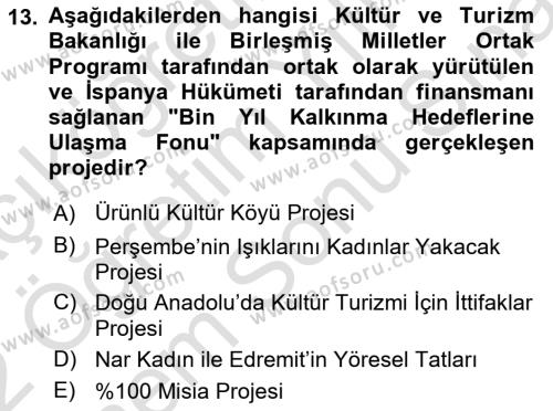 Toplum Temelli Turizm Dersi 2021 - 2022 Yılı (Final) Dönem Sonu Sınavı 13. Soru