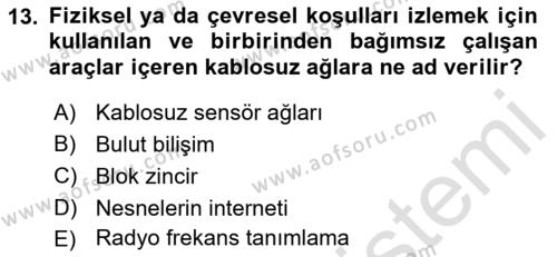 Turizm Bilgi Teknolojileri Dersi 2021 - 2022 Yılı Yaz Okulu Sınavı 13. Soru