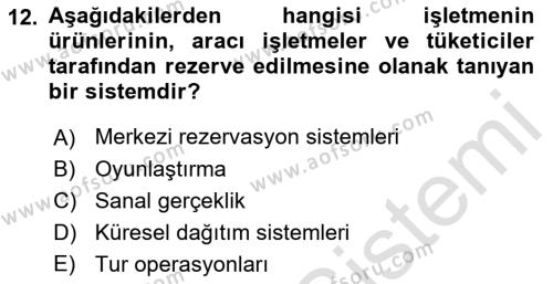 Turizm Bilgi Teknolojileri Dersi 2022 - 2023 Yılı Yaz Okulu Sınavı 12. Soru